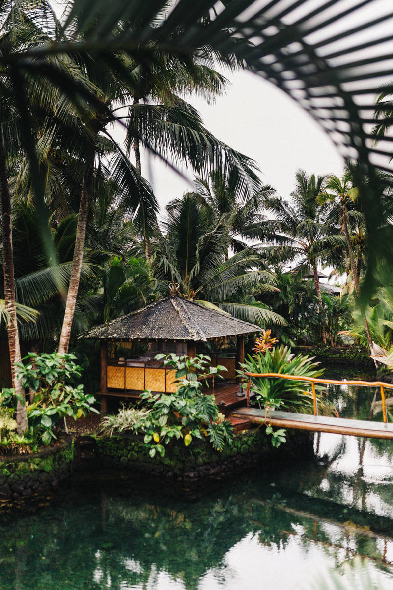 Changing Crypto Trading Patterns Reveal the Market’s Power